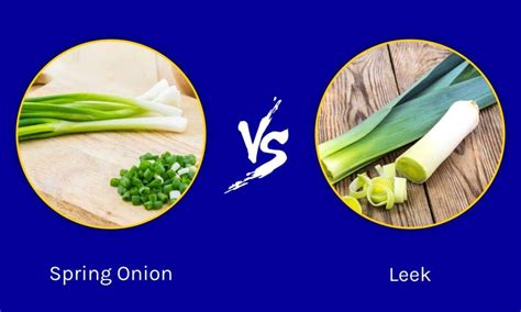 Difference between Leak and Leek